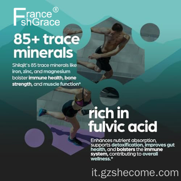 Shecome Shilajit Capsule 10:1 Estratto di supporto energetico